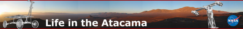 Life in the Atacama Header